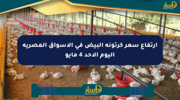 ارتفاع سعر كرتونة البيض في الأسواق المصرية اليوم الأحد 4 مايو